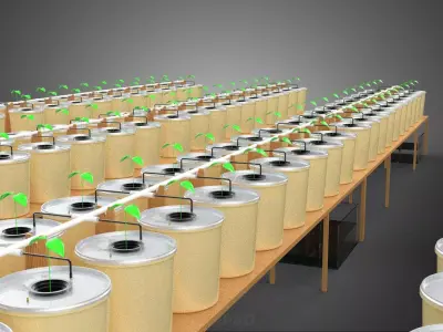 ILLUSTRATION VISUALIZATION DUTCH BUCKET HYDROPONIC SYSTEM TRAY 3D model