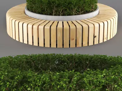 bench807 circular wooden bench with plant in middle 3D model