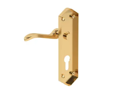 Paris Door Handles Polished Brass 3D model