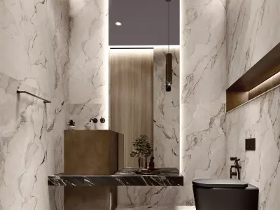 Modern Sketchup bathroom design  3D model