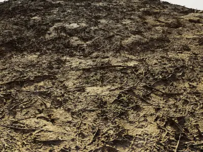 autumngrassdirt06102024 3D model