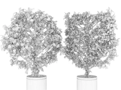 Collection plant vol 101 Free 3D model