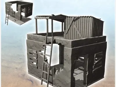 Ruined post-apocalyptic house with roof terrace and access ladde 3D print model
