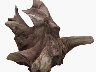 Tree Stump Low-poly 3D model