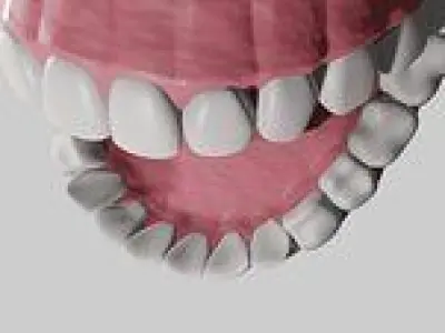 Teeth with Gums and Tongue Rigged 3D Model 3D model