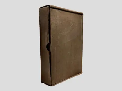 A flat cardboard box 3D model