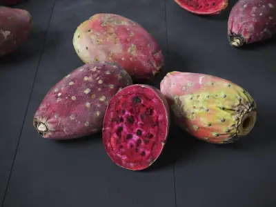 Prickly Pear - Cactus Fruit 8 Models