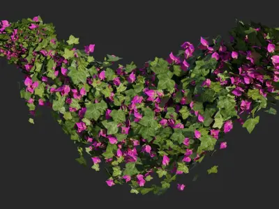 Bougainvillea Flowers and Bushes vol 1 3D model