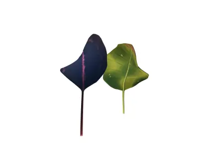 Leaves Low-poly 3D model