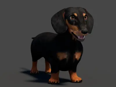  Black Dachshund Dog 