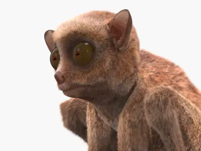  Tarsier Fur for Maya 