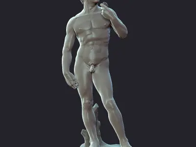David Statue by Michelangelo Zbrush 3D Model 3D model
