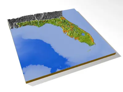 Florida High resolution 3D relief maps 3D model