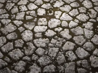 Flood 8K PBR Texture Set Texture