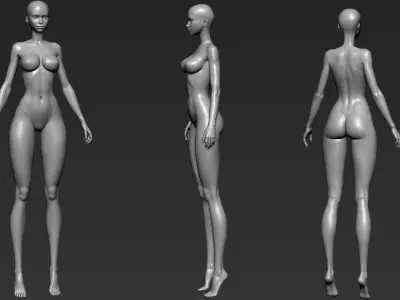 Anatomy female basemesh 3D model 3D model