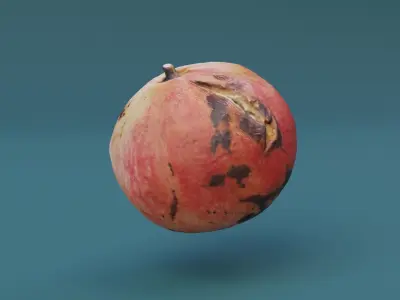 Pomegranate Scan  Free low-poly 3D model