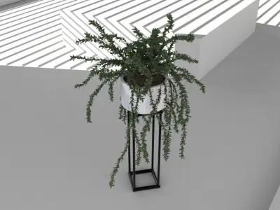 Floor potted collection Low-poly 3D model