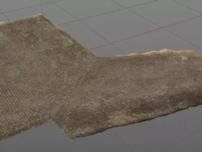 3D Scanned Pavement and driveway 3D model