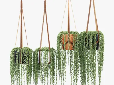 Plant hanger 3D model