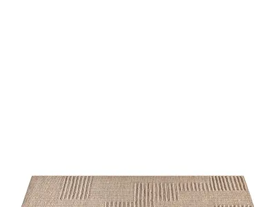 Accent Area Rug 3D model