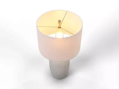 Safavieh Norsi Table Lamp TBL4245A 3D model
