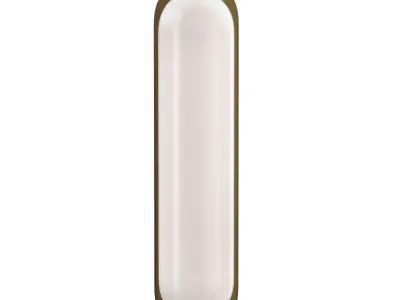 Bode Wall Light Brass 3D model