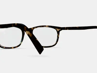 Welty Eyeglasses in Whiskey Tortoise 3D model