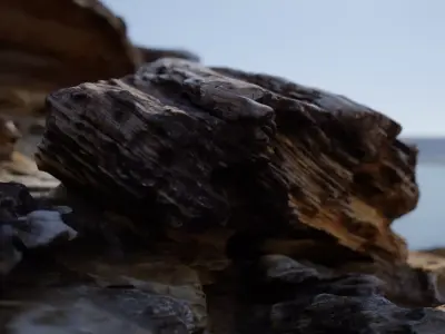 Rocks piece of wood floating in water Low-poly 3D model