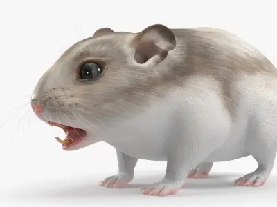  Campbell Dwarf Hamster Brownish Gray Rigged for Maya 