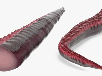  Octopus Tentacle Rigged for Cinema 4D 