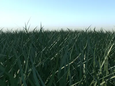 Grass and gravel 3D model