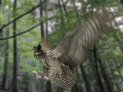  Great Horned Owl Animated 