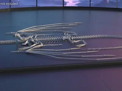  Dragon Skeleton in Unfolded State 