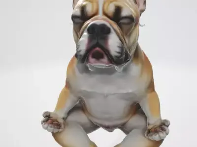 Zen Dog Character 3D model