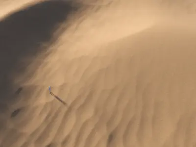 Dunes 3D model