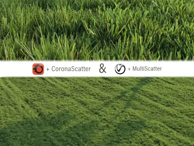 Grass for landscape 3D model