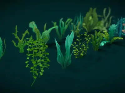 Stylish aquatic plants Low-poly 3D model