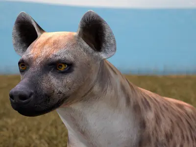  African Mammals Rigged for Cinema 4D Collection 3 