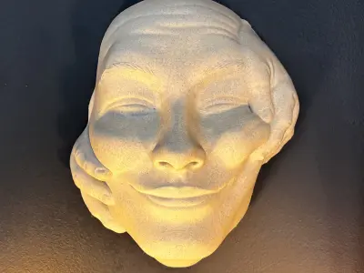 Abstract Art Face WallArt Lucid Dream The Windows 3D print model