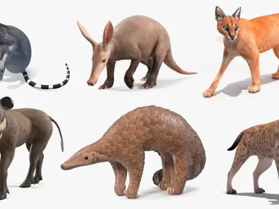  African Mammals Rigged for Maya Collection 3 