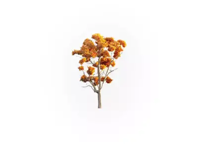 Low Poly Tree Autumn Stylish Low-poly 3D model