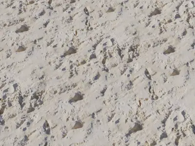 Premium Pitted Limestone Wall Texture Texture