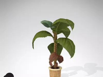 XfrogPlants Banana 3D model