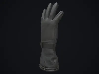 Winter gloves pack