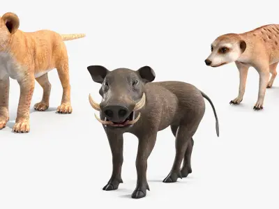  Lion King Animals Rigged for Maya Collection 