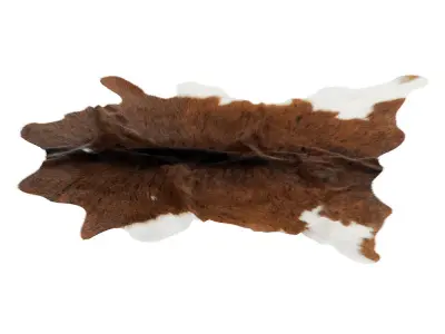 Animal skin rug 13 3D model