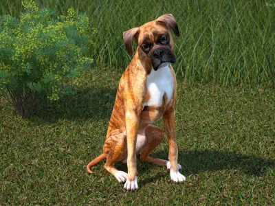  Large Dogs Rigged for Cinema 4D Collection 2 