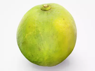 Lime - Photorealistic Scan Low-poly 3D model