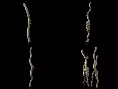 Column Rope Free 3D model