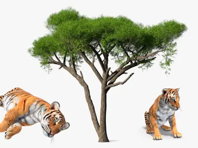  Tigers Under Tree Collection 